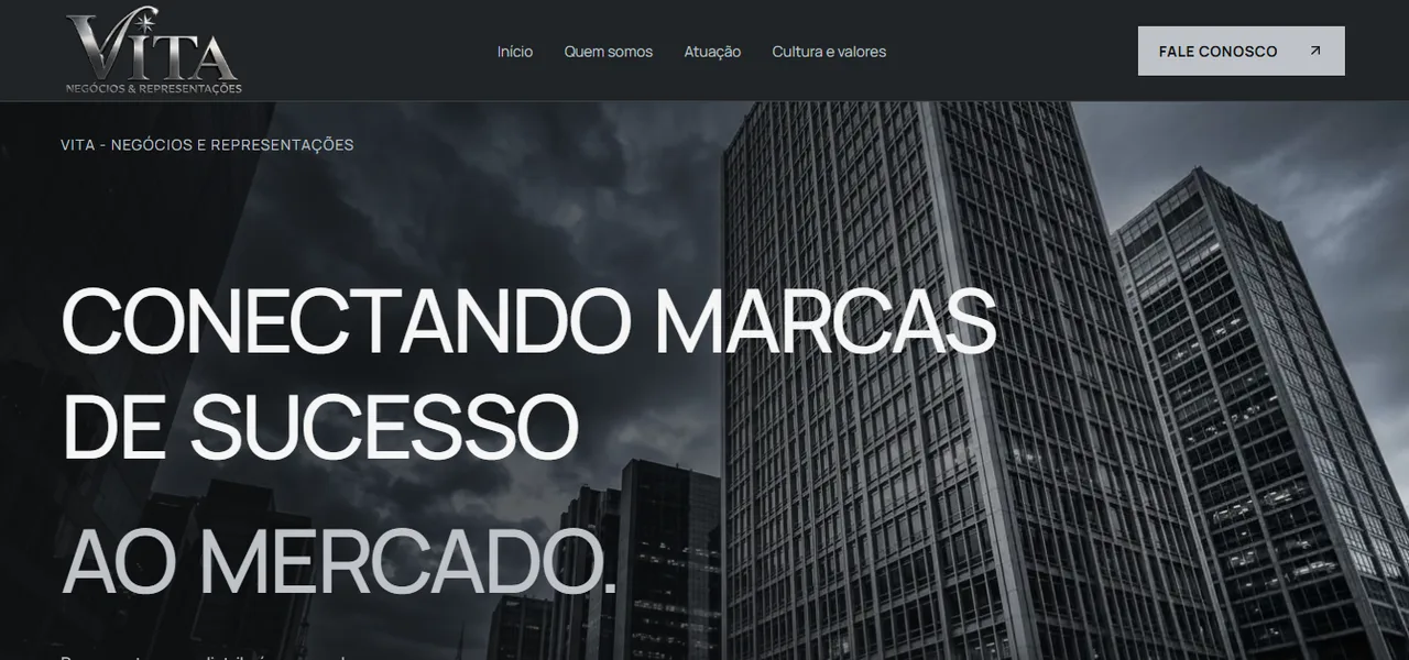 Página inicial da Vita Negócios e Representações com prédios ao fundo e o título "Conectando marcas de sucesso ao mercado."